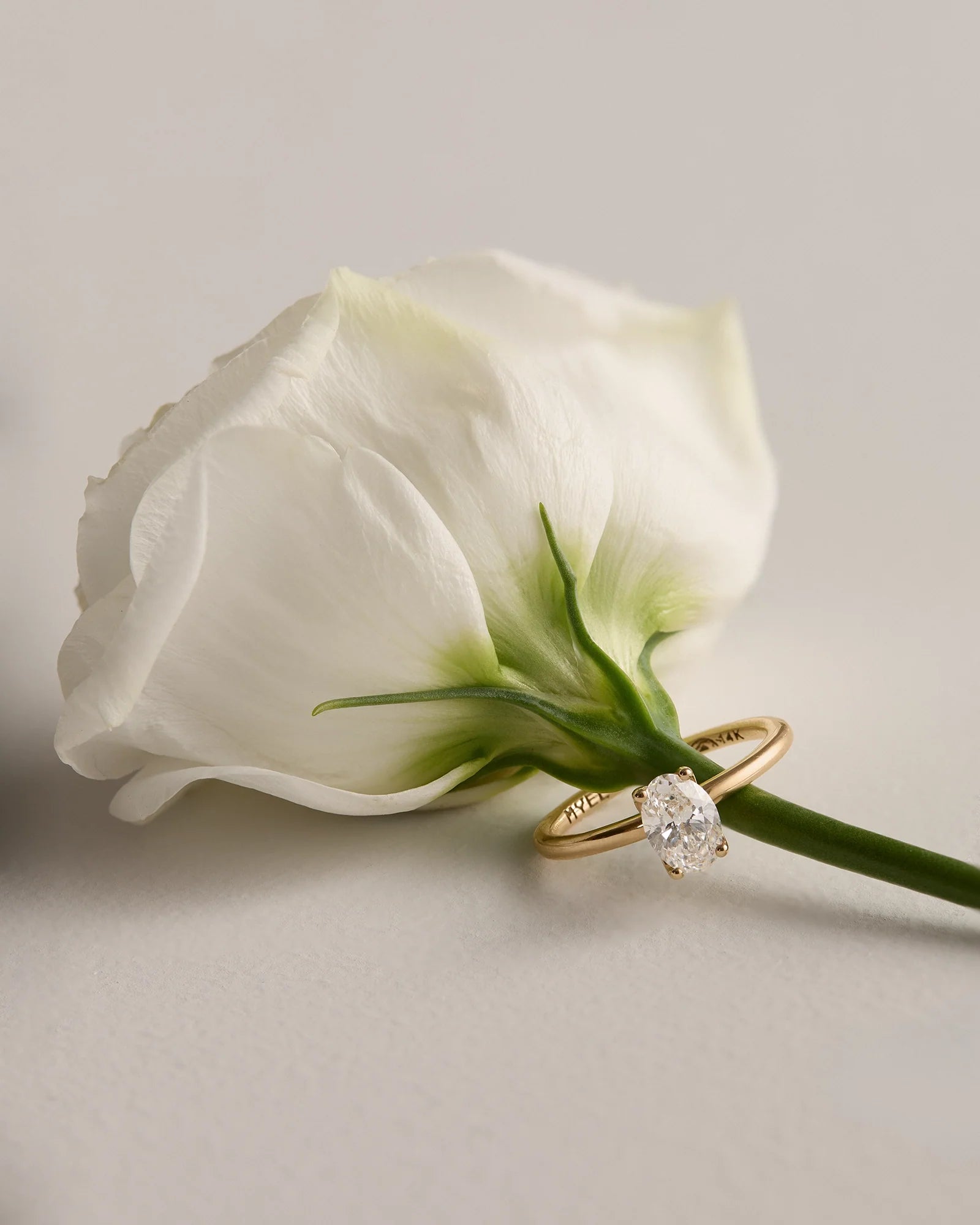 New Ring Creations