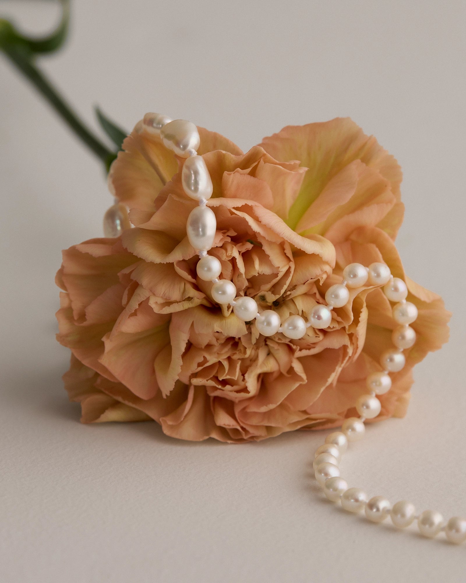 Inside the World of Pearls