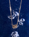 Collier Nausicaa avec Chaîne Forçat en Or 14k